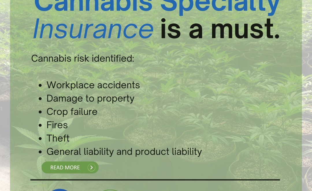 Cannabis-Specialty-Insurance-is-a-must