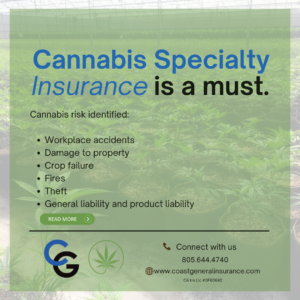 Cannabis-Specialty-Insurance-is-a-must.png