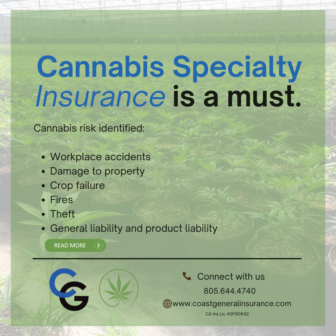 Cannabis Is a HighRisk Business — Specialty Insurance Is a Must