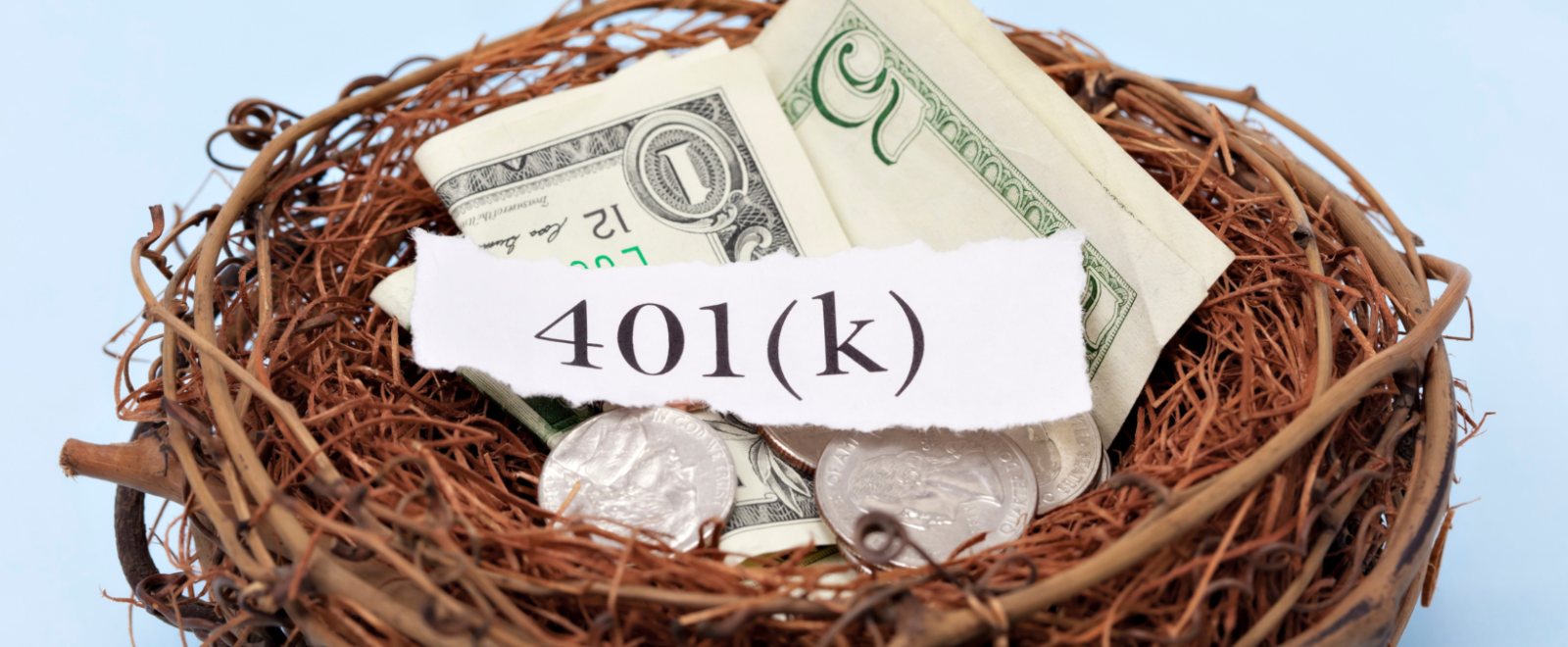 A bird's nest with money inside.