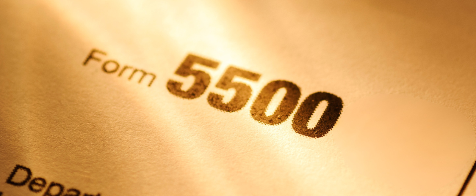 Form 5500