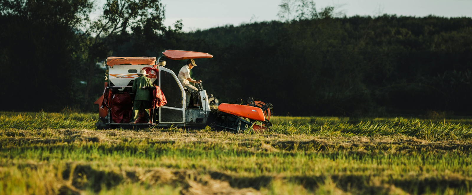 A Tractor in a field