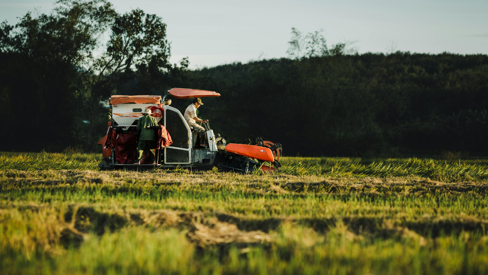 A Tractor in a field